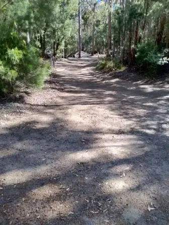Seventh view of Homely rural property listing, 71 Karri Dr, Denmark WA 6333