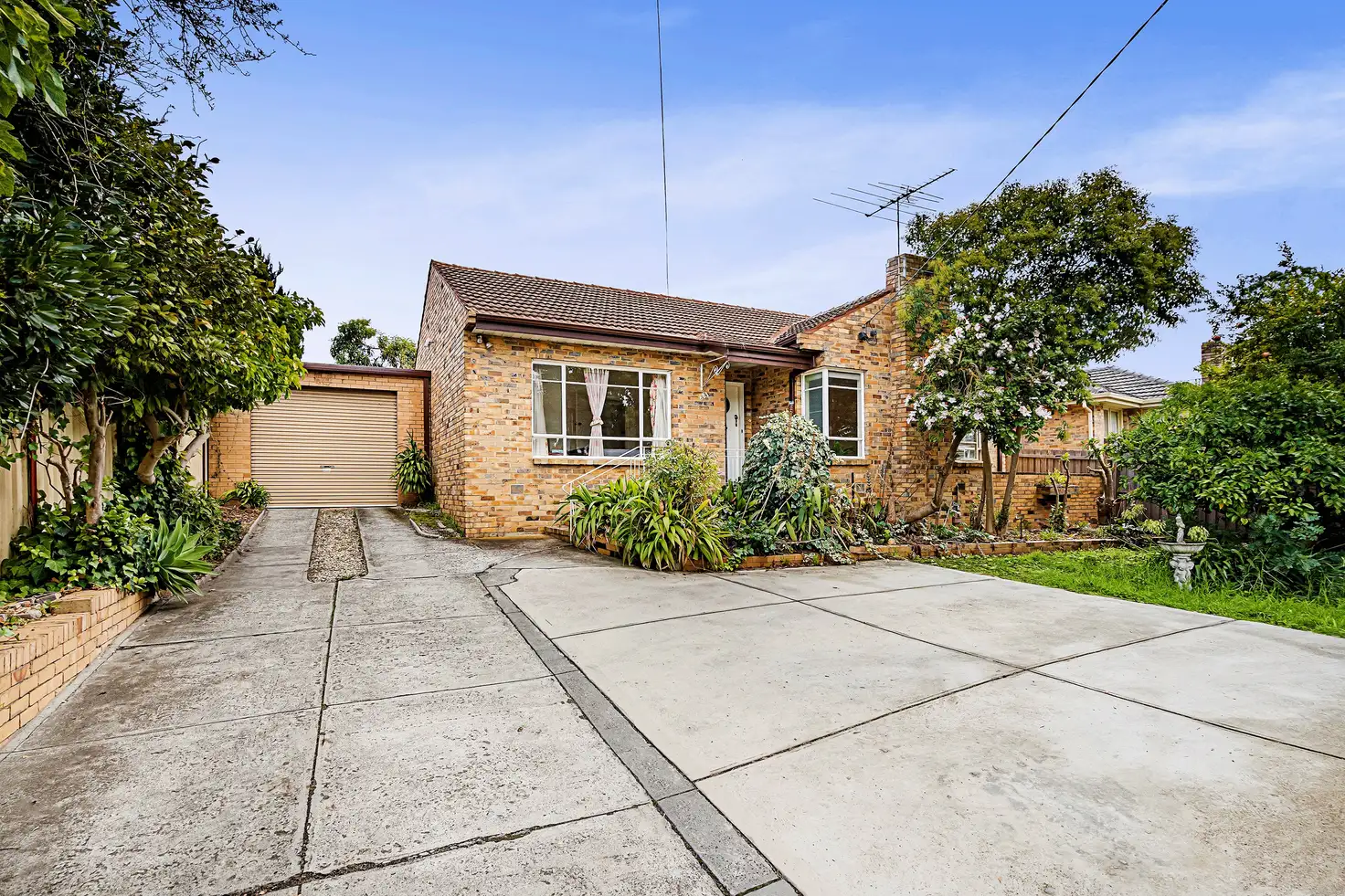 Main view of Homely house listing, 621 Middleborough Road, Box Hill North VIC 3129