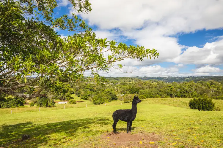 Main view of Homely rural property listing, 242-254 Kureelpa Falls Road, Kureelpa QLD 4560