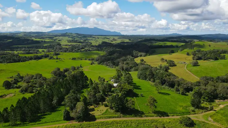 Second view of Homely rural property listing, 416 Hogan Road, Tarzali QLD 4885