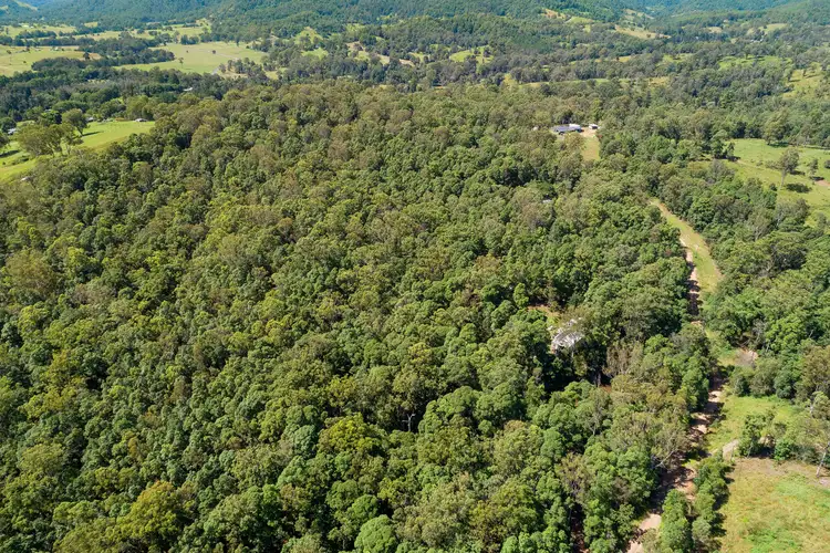 Sixth view of Homely rural property listing, 36 PINTO DRIVE, Conondale QLD 4552