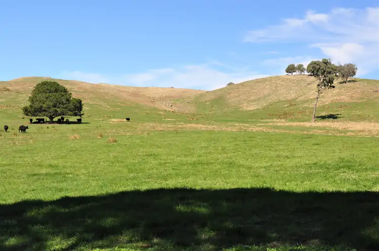 Fourth view of Homely rural property listing, 7909 Maroondah Highway, Merton VIC 3715