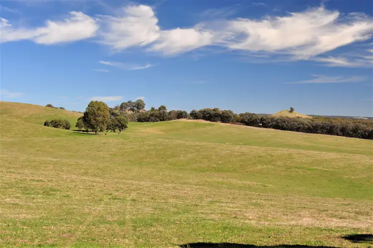 Fifth view of Homely rural property listing, 7909 Maroondah Highway, Merton VIC 3715