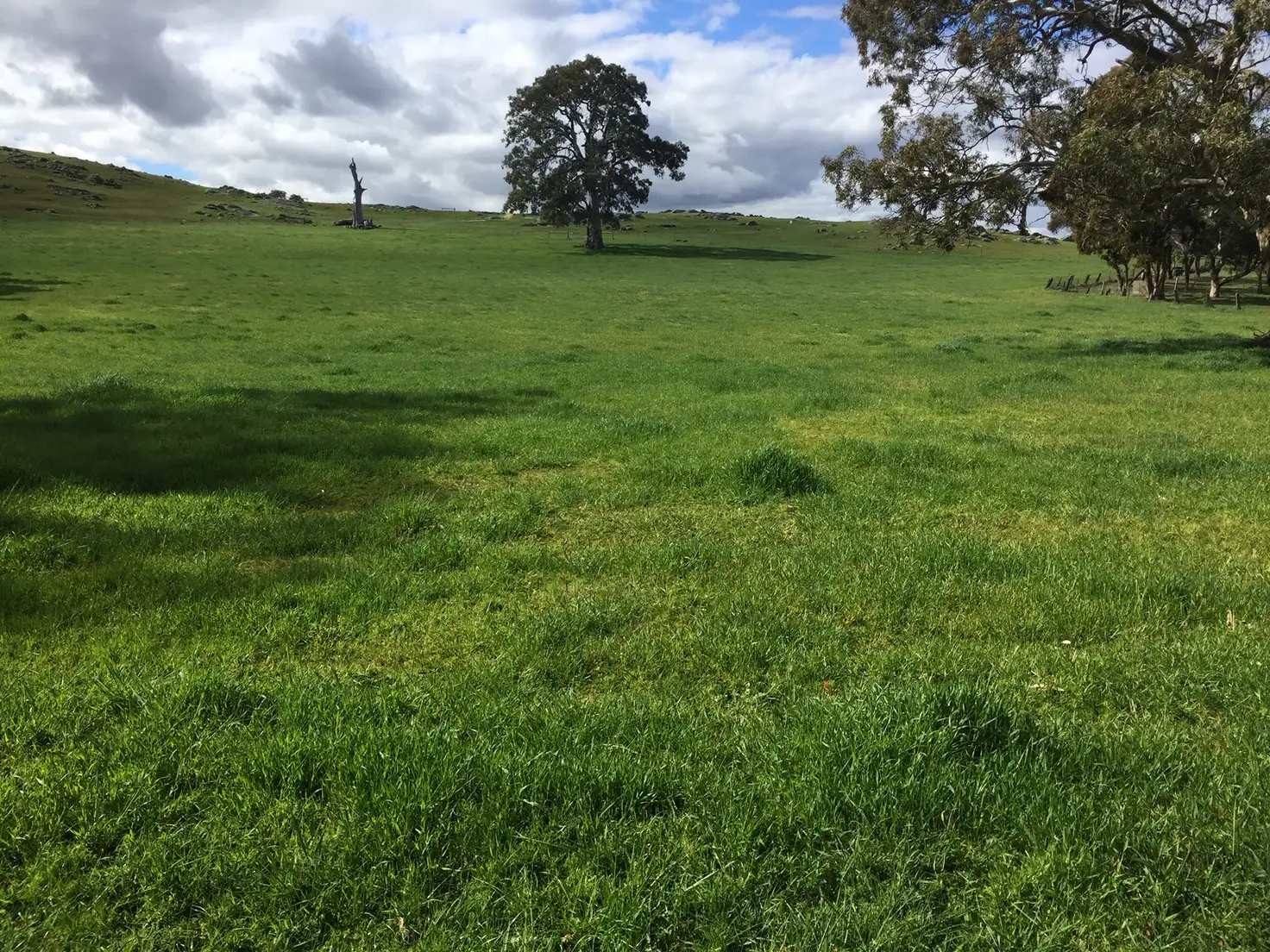 Main view of Homely land listing, LOT 159 Eden Valley Road, Springton SA 5235