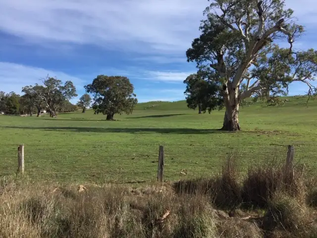 Fifth view of Homely land listing, LOT 159 Eden Valley Road, Springton SA 5235