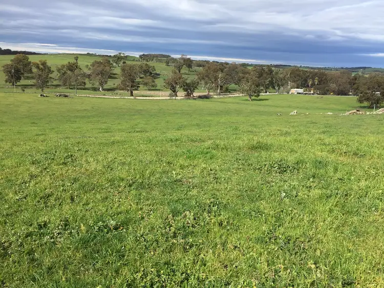 LOT 159 Eden Valley Road, Springton SA 5235