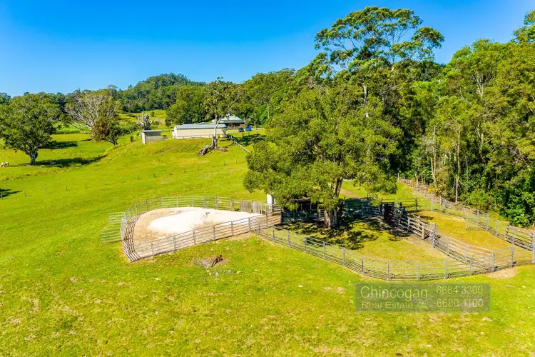 Third view of Homely rural property listing, 5824 Tweed Valley Way, Mooball NSW 2483