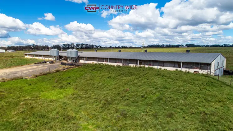 Main view of Homely rural property listing, 28 Whitmore Road, Glen Innes NSW 2370