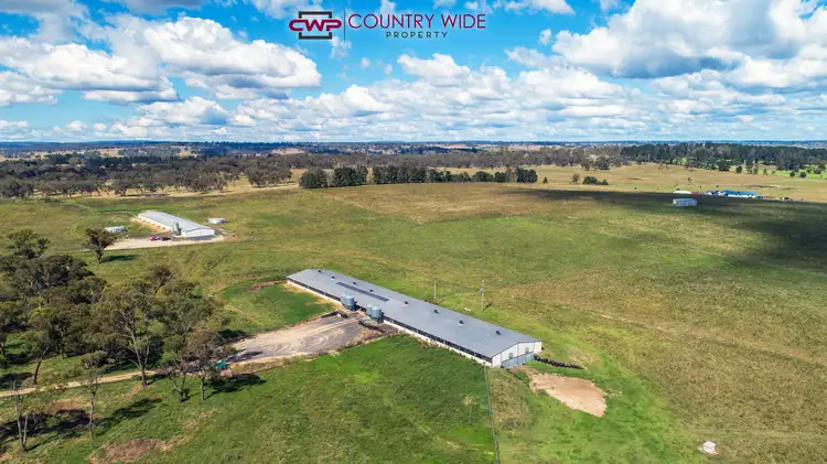 Second view of Homely rural property listing, 28 Whitmore Road, Glen Innes NSW 2370