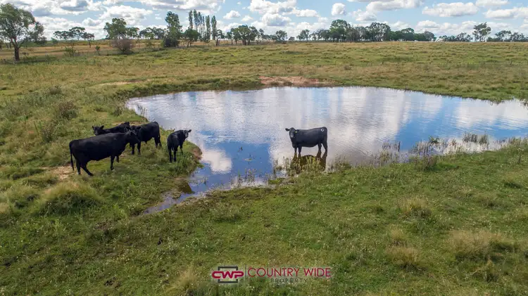 Fourth view of Homely rural property listing, 28 Whitmore Road, Glen Innes NSW 2370