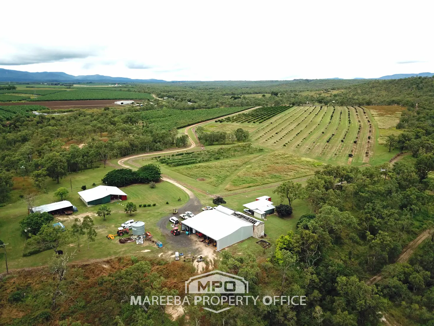 Main view of Homely rural property listing, 208 George Fabris Road, Mareeba QLD 4880