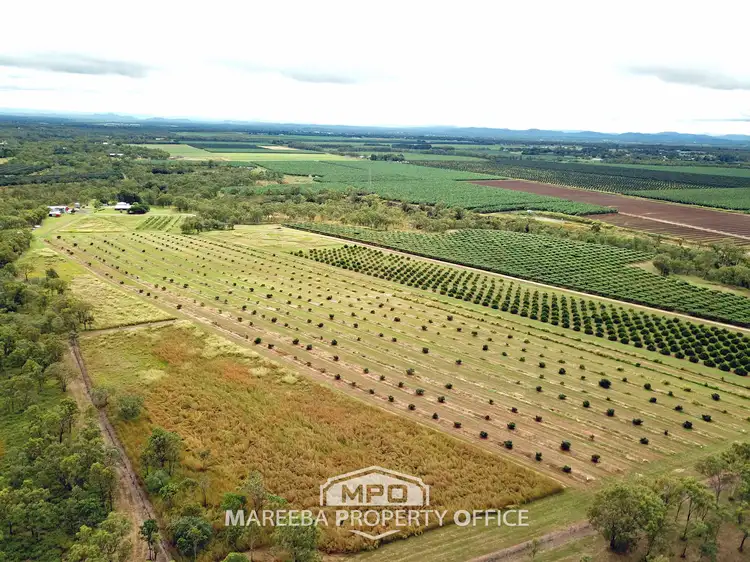 Second view of Homely rural property listing, 208 George Fabris Road, Mareeba QLD 4880