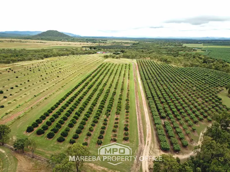 Fourth view of Homely rural property listing, 208 George Fabris Road, Mareeba QLD 4880
