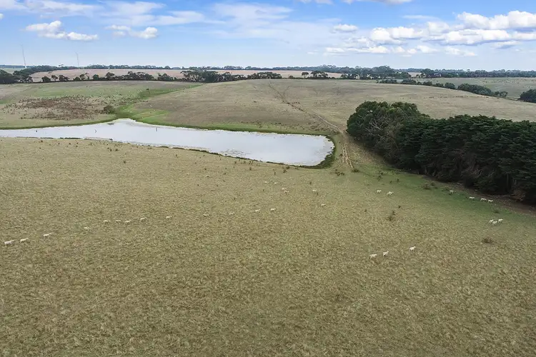 Third view of Homely rural property listing, 971 Timboon-Curdievale Road, Curdievale VIC 3268