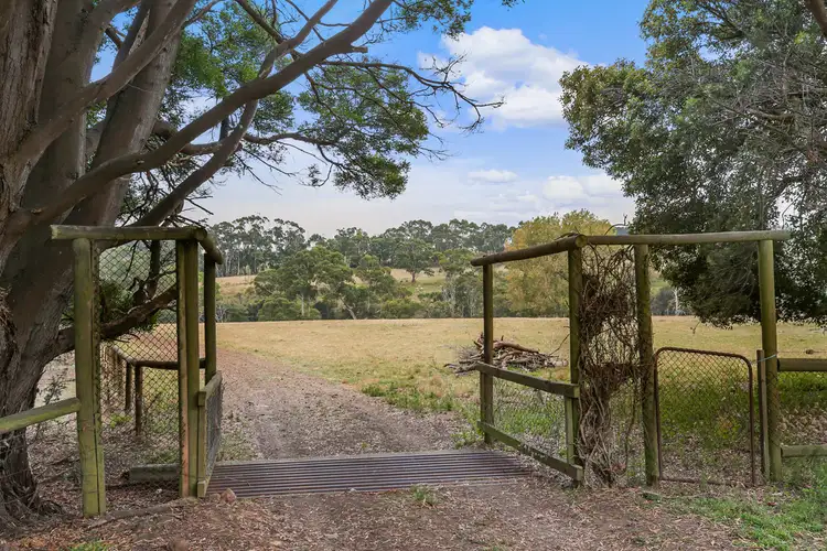 Sixth view of Homely rural property listing, 971 Timboon-Curdievale Road, Curdievale VIC 3268