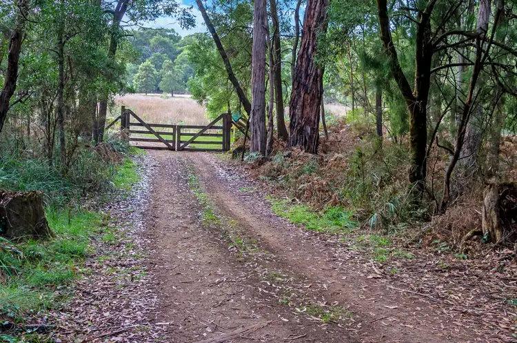 Second view of Homely rural property listing, 711 Surry River-Gorae Road, Gorae VIC 3305