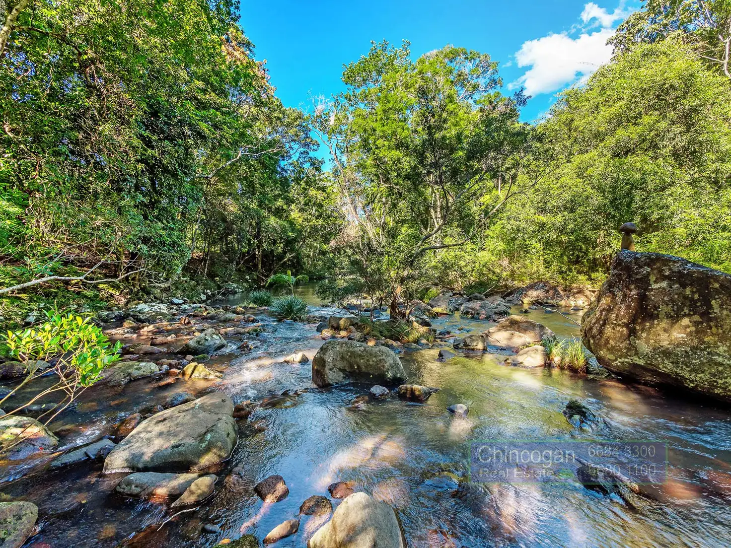 Main view of Homely rural property listing, 841 Wilsons Creek Road, Wilsons Creek NSW 2482