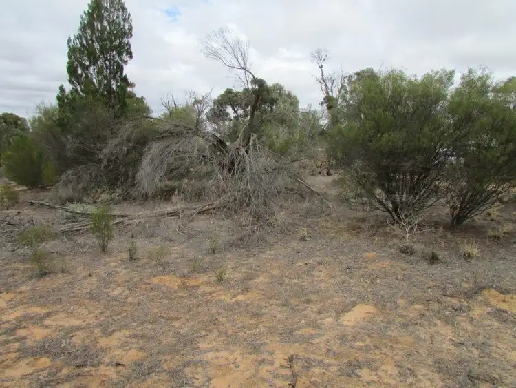 Fourth view of Homely land listing, 86 Mallee Street, Lascelles VIC 3487