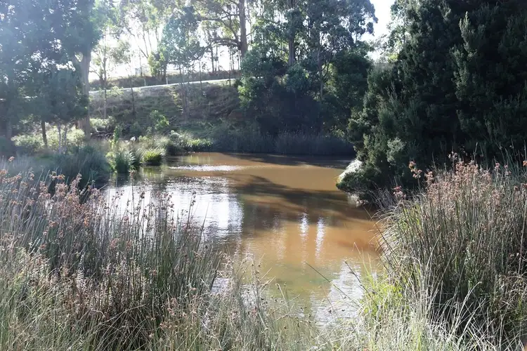 Main view of Homely land listing, 11 Nitida Drive, Scotchtown TAS 7330