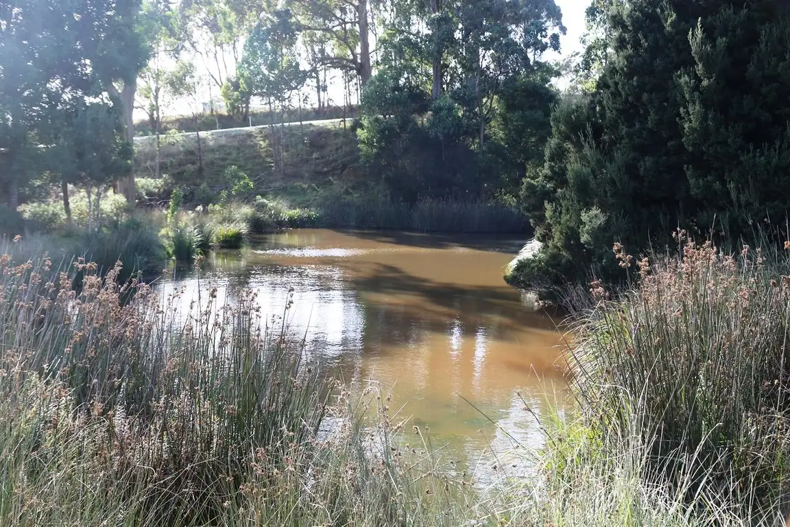 Main view of Homely land listing, 11 Nitida Drive, Scotchtown TAS 7330
