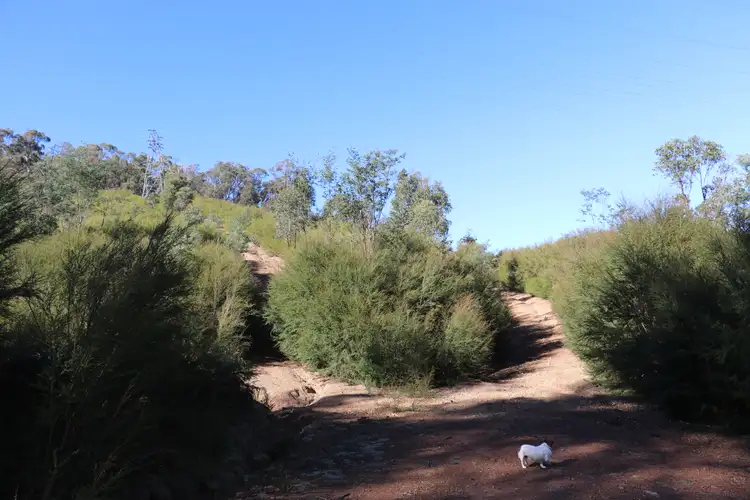 Third view of Homely rural property listing, 55 Malaraway Road, Glenburn VIC 3717