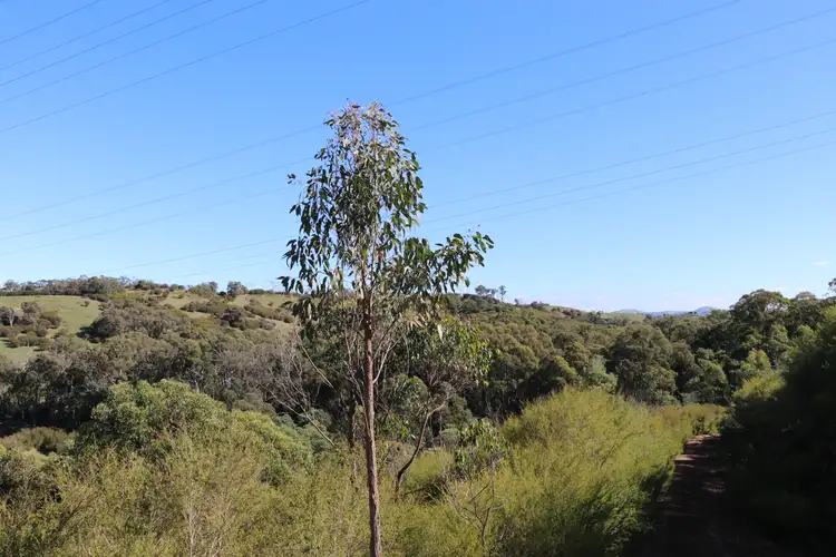 Fifth view of Homely rural property listing, 55 Malaraway Road, Glenburn VIC 3717