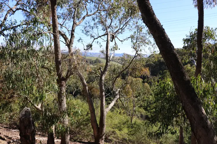 Sixth view of Homely rural property listing, 55 Malaraway Road, Glenburn VIC 3717