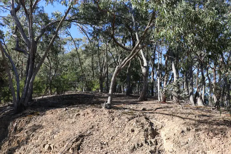 Seventh view of Homely rural property listing, 55 Malaraway Road, Glenburn VIC 3717