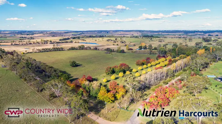 Fifth view of Homely rural property listing, 105 Cramsie Crescent, Glen Innes NSW 2370