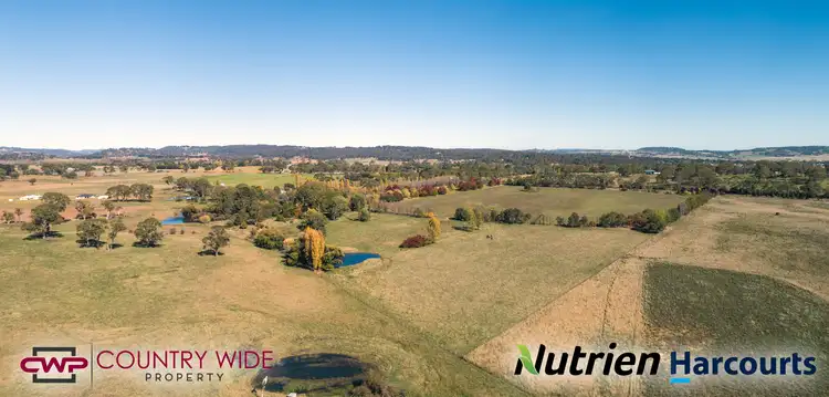 Sixth view of Homely rural property listing, 105 Cramsie Crescent, Glen Innes NSW 2370