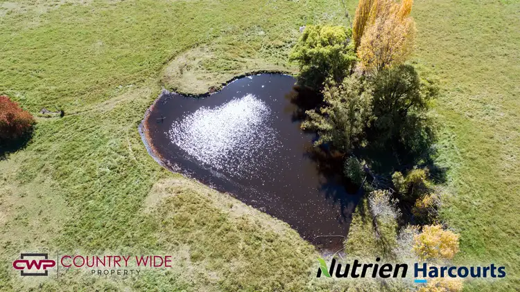 Seventh view of Homely rural property listing, 105 Cramsie Crescent, Glen Innes NSW 2370