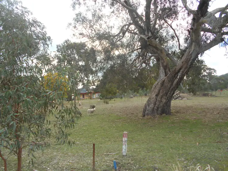 15 Bute Close, Clunes VIC 3370