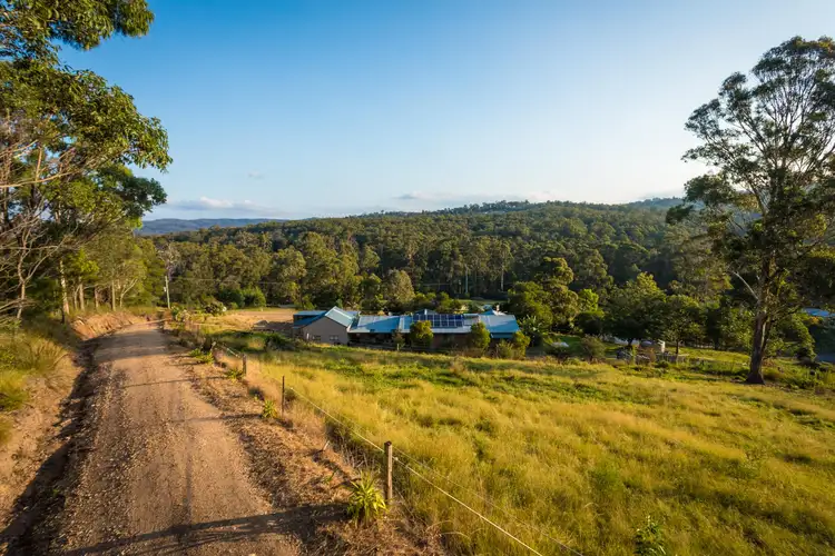 Second view of Homely house listing, 157 Bald Hills Road, Bald Hills NSW 2549