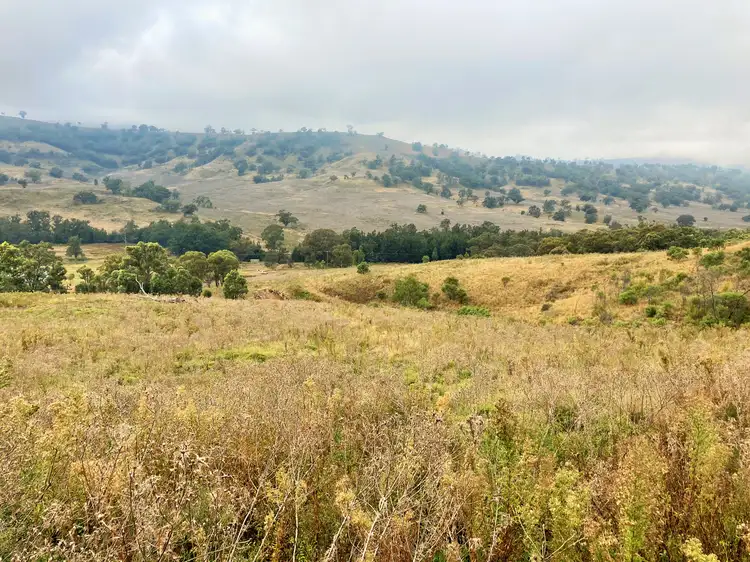 Main view of Homely rural property listing, 2229 PEMBROKE ROAD, Cassilis NSW 2329