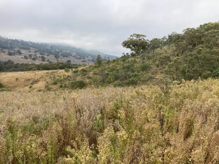 Fourth view of Homely rural property listing, 2229 PEMBROKE ROAD, Cassilis NSW 2329