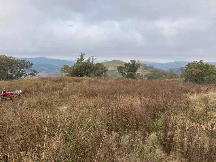 Fifth view of Homely rural property listing, 2229 PEMBROKE ROAD, Cassilis NSW 2329