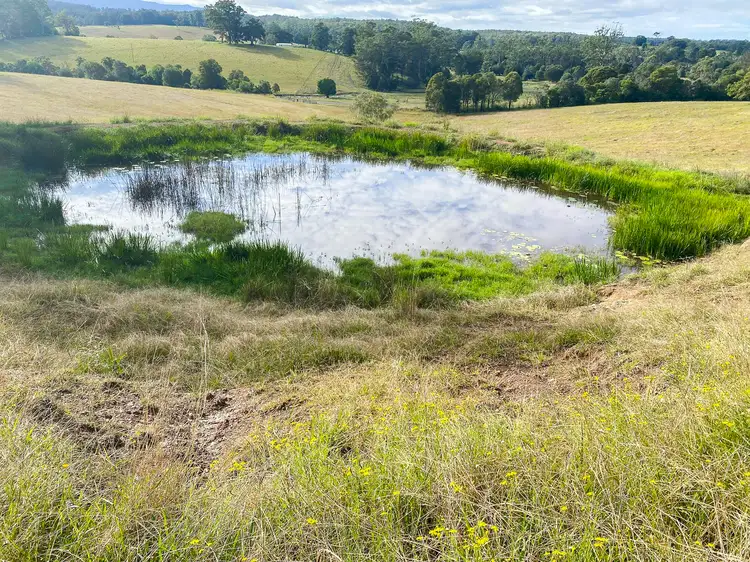 Fourth view of Homely rural property listing, 1463 Comboyne Road, Killabakh NSW 2429