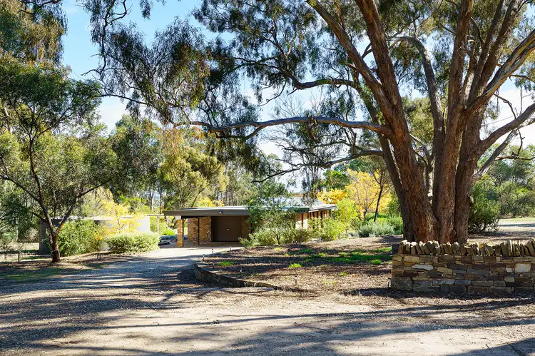 Second view of Homely house listing, 105 Rilens Road, Muckleford VIC 3451