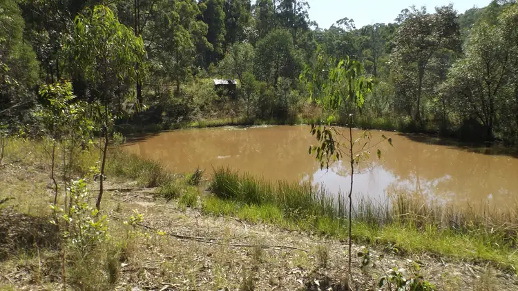1464 Paddys Flat Road, Tabulam NSW 2469