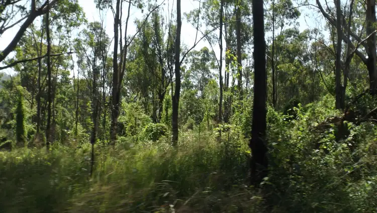 Seventh view of Homely land listing, 1464 Paddys Flat Road, Tabulam NSW 2469