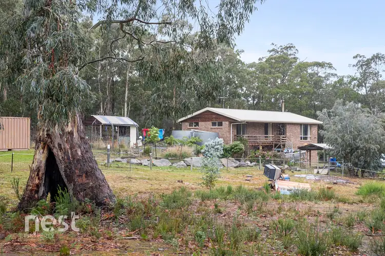 215 Krauses Road, Lower Longley TAS 7109