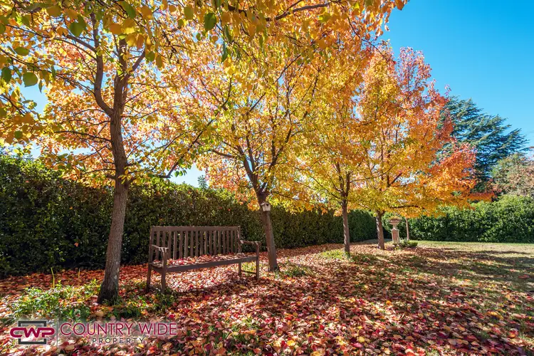 Third view of Homely house listing, 64 Manns Lane, Glen Innes NSW 2370
