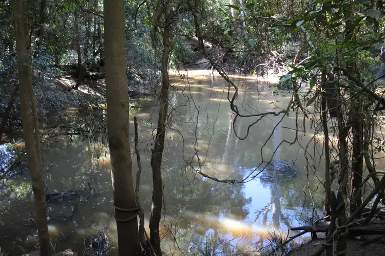 Fourth view of Homely rural property listing, 475 Elliotts Road, Myrtle Creek NSW 2469