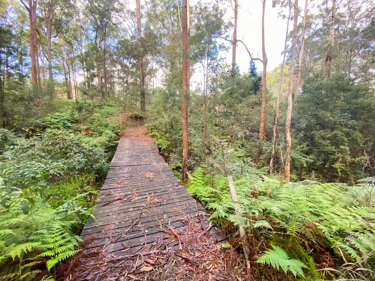 Second view of Homely rural property listing, 5 Scotts Road, Mitchells Island NSW 2430