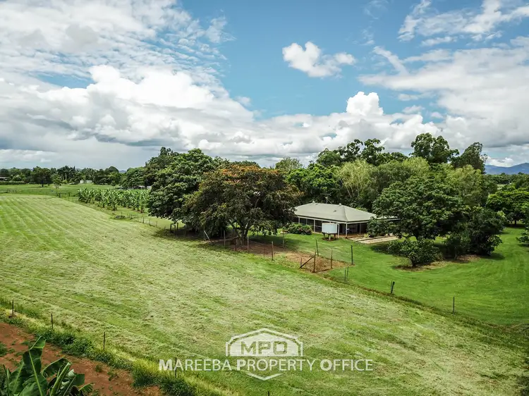 Main view of Homely rural property listing, 81 Coolamon Close, Mareeba QLD 4880