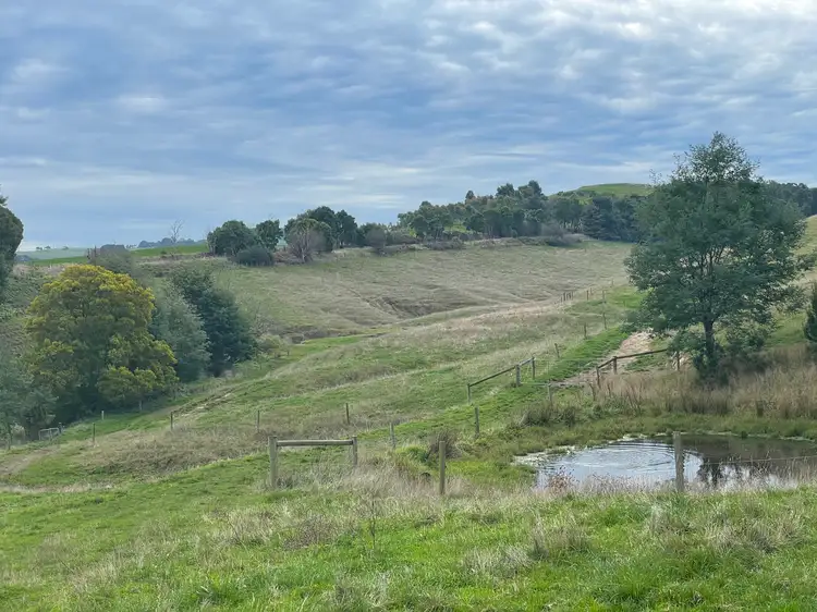 Sixth view of Homely rural property listing, 1045 Bena-Kongwak Road, Bena VIC 3946