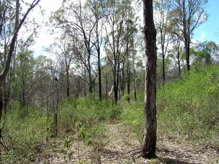 Seventh view of Homely rural property listing, Lot 17 Langton Road, Blackbutt QLD 4314