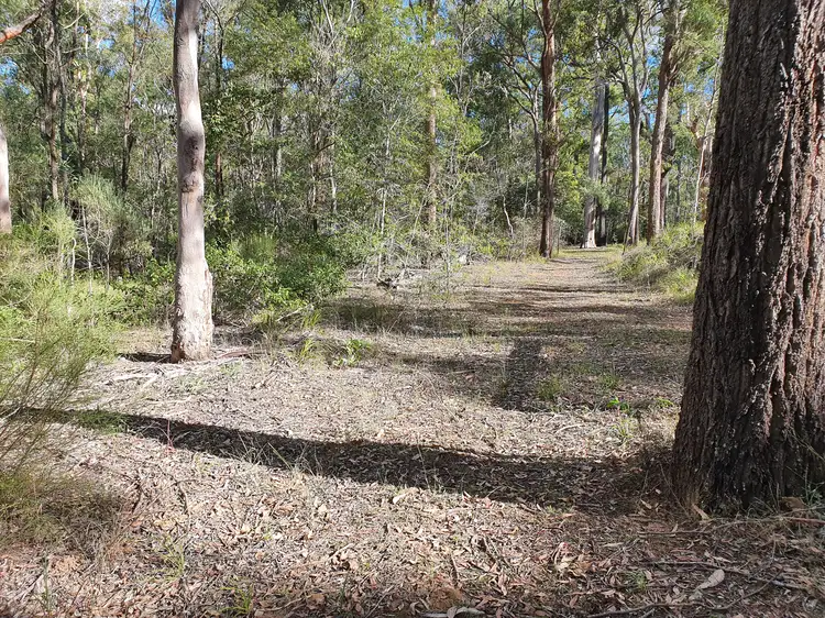 Second view of Homely rural property listing, LOT 53 PACKER ROAD, Blackbutt QLD 4314