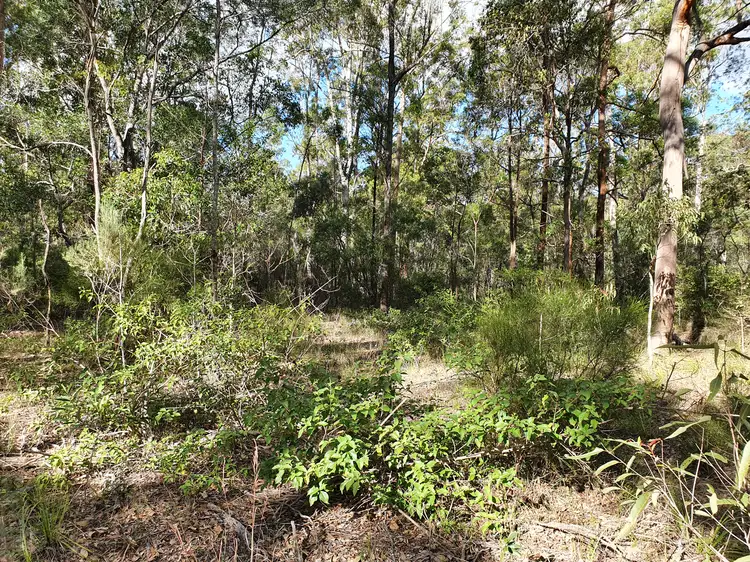 Third view of Homely rural property listing, LOT 53 PACKER ROAD, Blackbutt QLD 4314