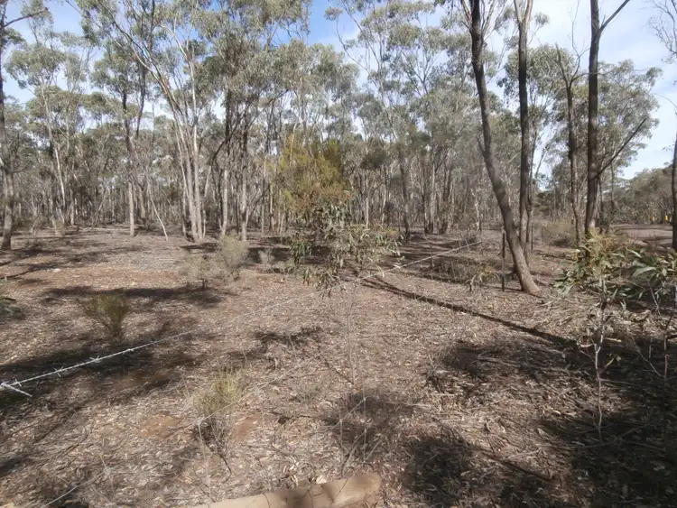 Seventh view of Homely land listing, LOT 8/1500 Sheldons Road, Myers Flat VIC 3556